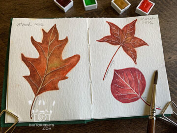 Autumn Leaves line art clip art by inktorrents.com Soma Acharya
