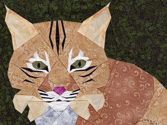 Big Cat Bobcat quilt pattern Shop Whims And Fancies Soma Acharya