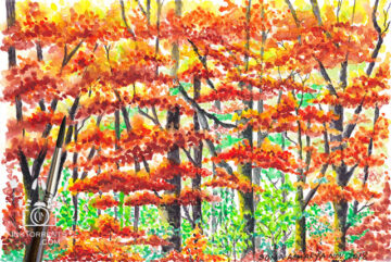 Autumn Forest Walk Yosemite Fall Colors art print InkTorrents Graphics Soma Acharya