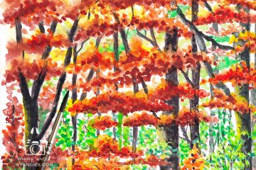 Autumn Forest Walk Yosemite Fall Colors art print InkTorrents Graphics Soma Acharya