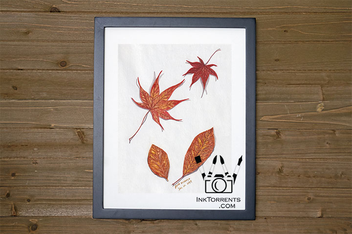 Falling Autumn Leaves art print InkTorrents Graphics Soma Acharya
