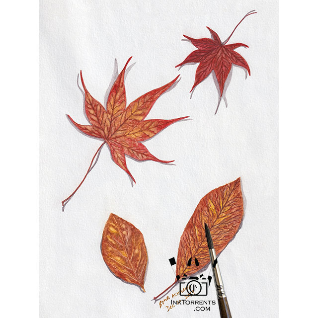 Falling Autumn Leaves art print InkTorrents Graphics Soma Acharya