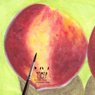 Summer Peaches art print InkTorrents Graphics Soma Acharya