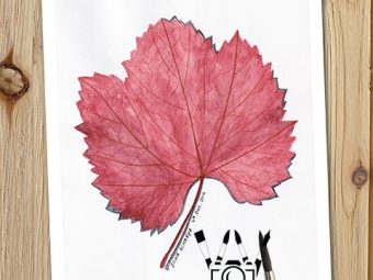 Autumn Red Leaf art print InkTorrents Graphics Soma Acharya