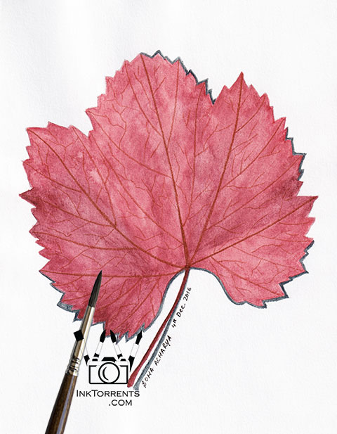 Autumn Red Leaf art print InkTorrents Graphics Soma Acharya