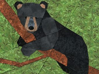 Bear Cub quilt pattern Shop Whims And Fancies Soma Acharya