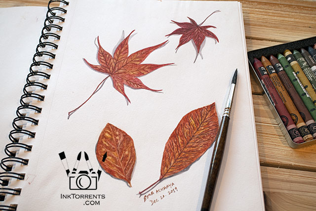 Falling Autumn Leaves art print InkTorrents Graphics Soma Acharya