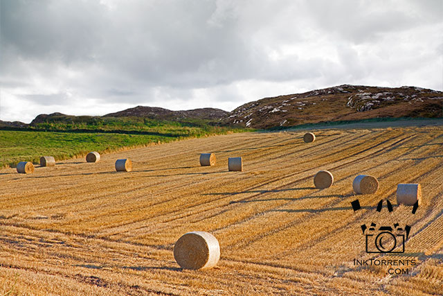 Hay Bales Of Aberdeenshire Scotland Art Print InkTorrents Graphics Soma Acharya