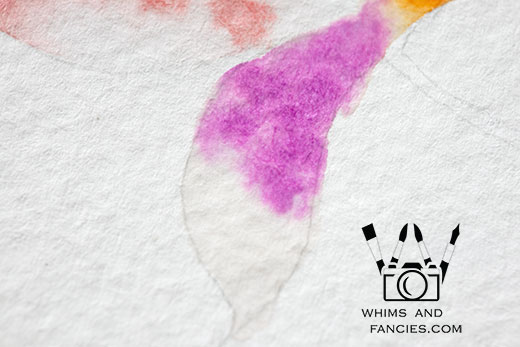 Learn to Watercolour At Inktorrents with Soma Acharya Whims And Fancies