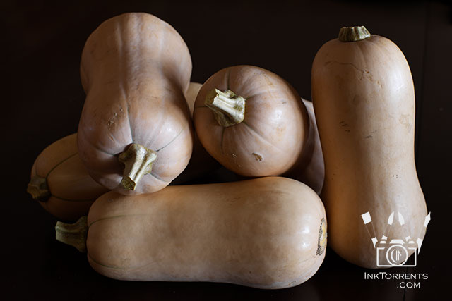 My October Photo Project - Butternut squash photo by Soma @ Inktorrents.com