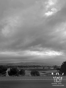 Driving into the storm