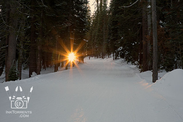 Yosemite Badger Pass Snowshoe Photography @ InkTorrents.com by Soma