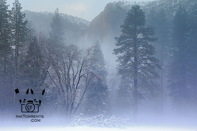 Ink Torrents Graphics Yosemite In Winter Yosemite Falls and Black Oaks photo by Soma Acharya @ InkTorrents