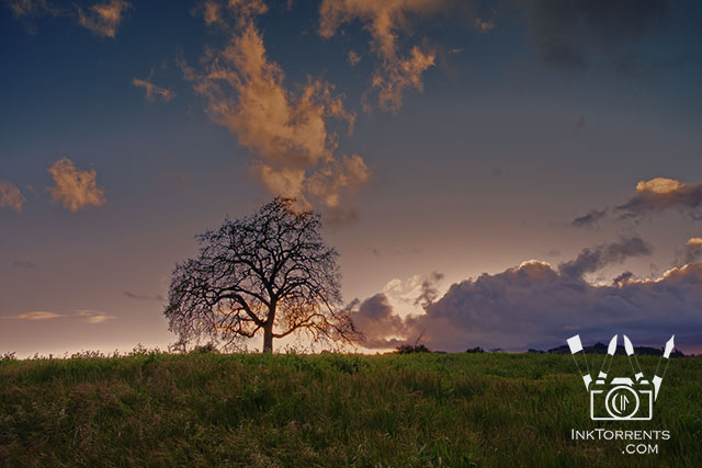 Local Park at sunset in Northern California by Soma @ InkTorrents.com