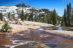 Tresidder Peak at Lower Cathedral Lake at Yosemite National Park from Tioga Road, InkTorrents Graphics