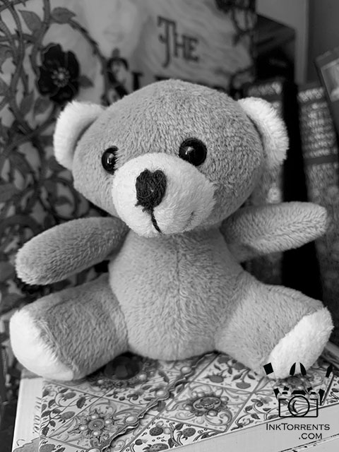 A special bear resident - Simple 365 black and white photo project by InkTorrents Graphics Soma Acharya