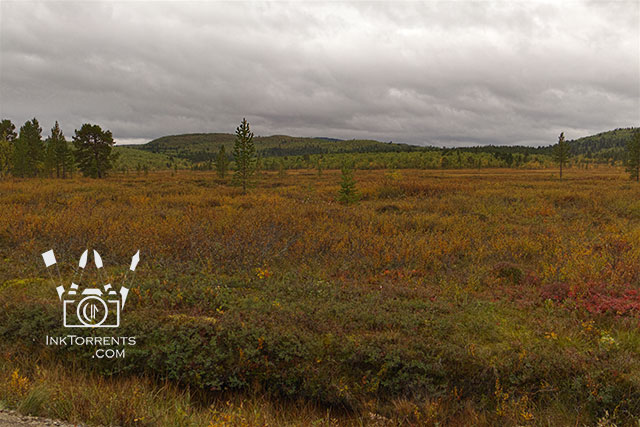 Inari to Karigasniemi, Finland photo by Soma Acharya InkTorrents Graphics @ InkTorrents.com