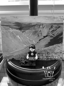My desk buddy posing in front of a postcard from our travels