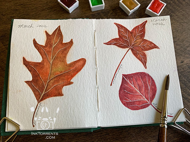 Autumn Leaves Line art clip art @ inktorrents.com by Soma Acharya
