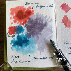 Painting with fountain pen ink @ InkTorrents.com by Soma
