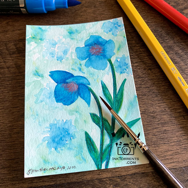 Blue Poppies with Faber Castell watercolor markers and pencils by Soma @ InkTorrents.com