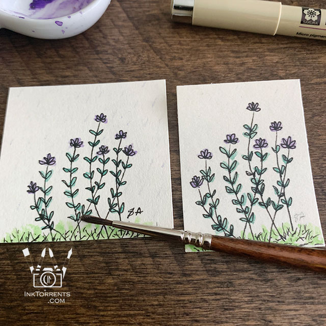 Little purple wildflowers drawing @ inktorrents.com by Soma Acharya
