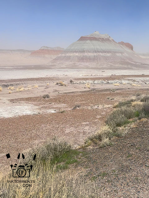 Petrified Forest National park - photo by Soma Acharya @ inktorrents.com