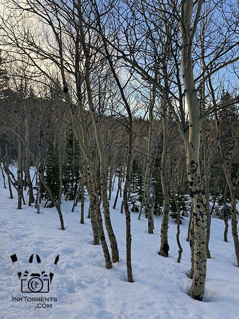 Rocky Mountain National park - photo by Soma Acharya @ inktorrents.com