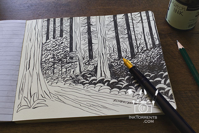 National Park Series Notebook - California Redwood National park, Redwood Trail Journal Notebook by Soma Acharya @ inktorrents.com InkTorrents Graphics