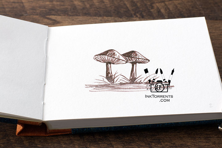 InkFortnight, a 14 day art challenge in September Day 2 Wild Mushrooms in Kakimori Mukuri Ink, InkTorrents Graphics
