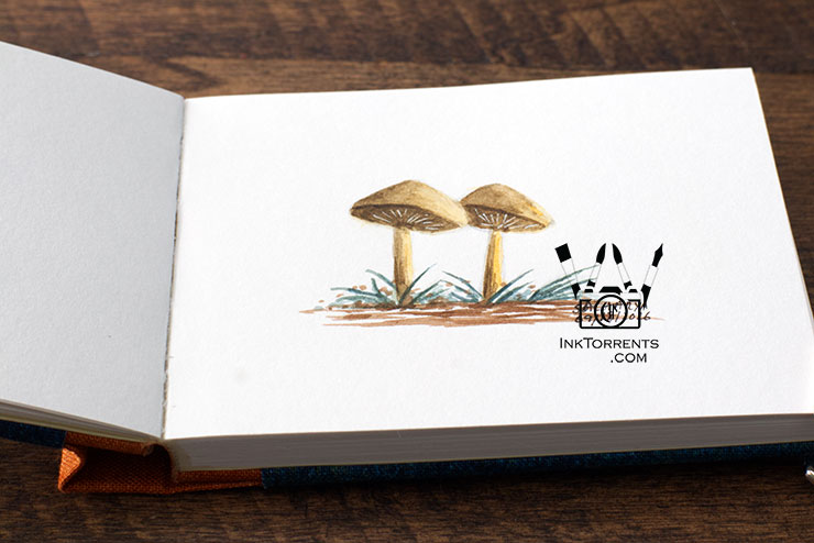 InkFortnight, a 14 day art challenge in September Day 2 Wild Mushrooms in Van Gogh Watercolor, InkTorrents Graphics