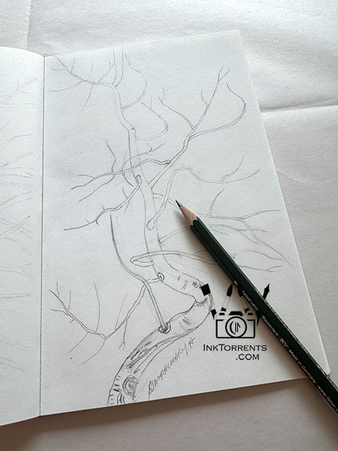 Outside The Lines Sketchbook drawings Wintry Tree by Soma Acharya InkTorrents Graphics @ InkTorrents.com