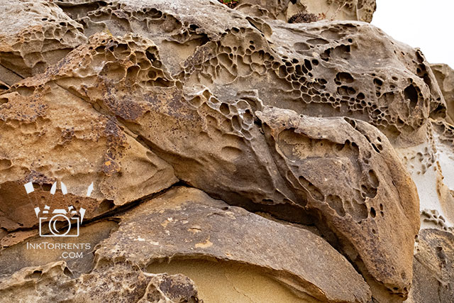 Tafoni Salt Point Sonoma Coastline by Soma Acharya inktorrents.com